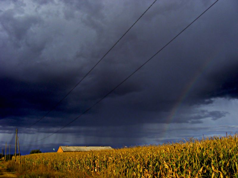 Cortinas de lluvia desfilando detras del Arco Iris.jpg